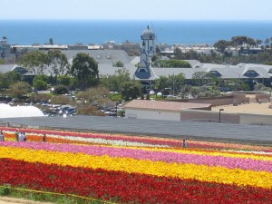 Carlsbad Electrician